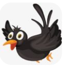 乌鸦传媒app免费污版