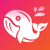 巨鲸直播app官方版